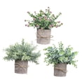thumbnail image 1 of 3 Piezas de Plantas Falsas Strade Fareast Limited en Maceta Decorativas de Imitación 8 cm x 8 cm, 1 of 8