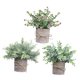 thumbnail image 1 of 3 Piezas de Plantas Falsas Strade Fareast Limited en Maceta Decorativas de Imitación 8 cm x 8 cm, 1 of 8