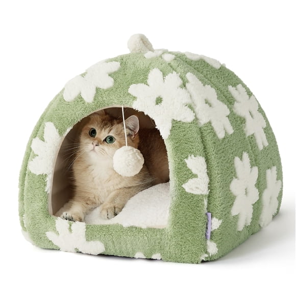 Cat Beds LE SURE Cute Cute 2 en 1 para gatos de interior, color verde