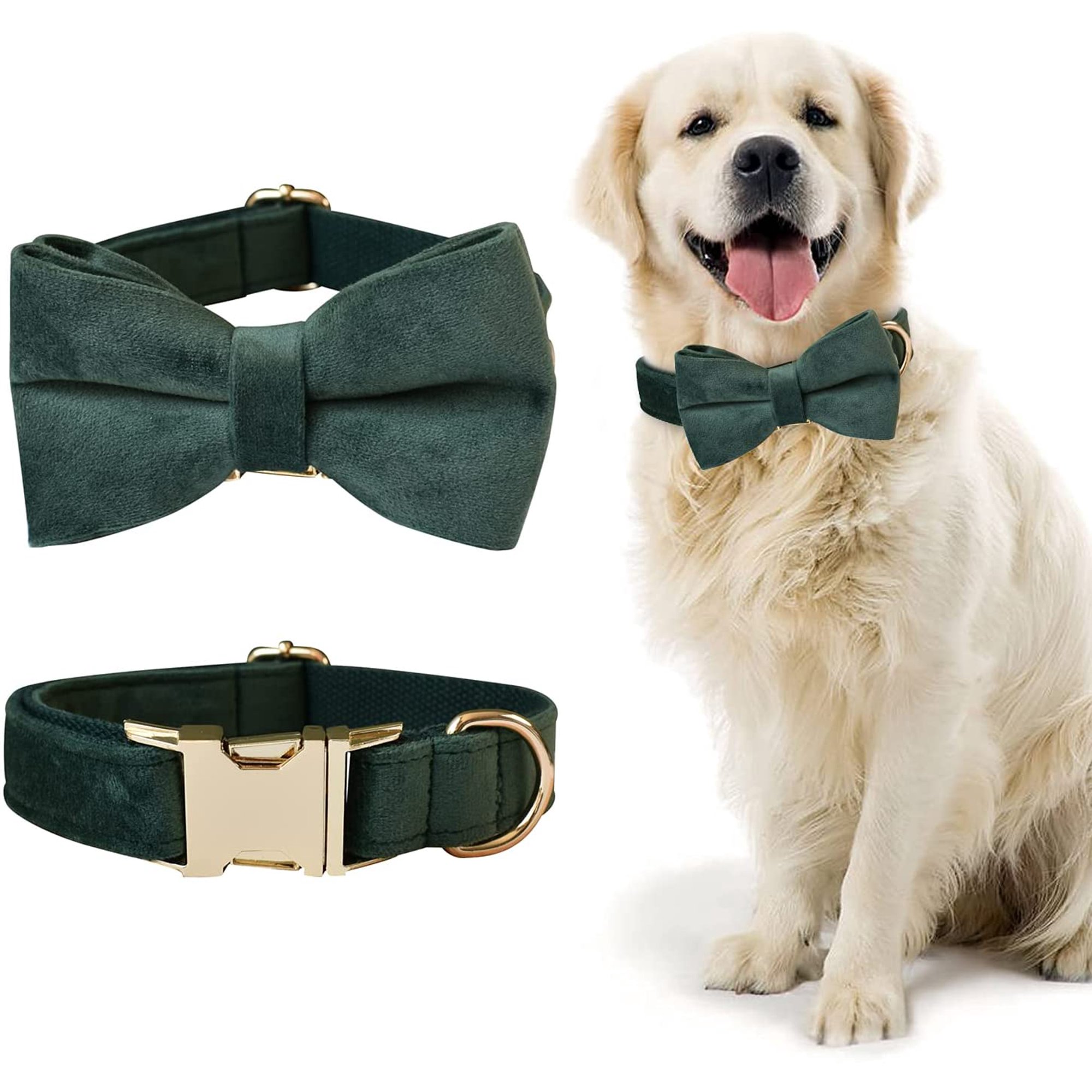 Are Metal Dog Collars Safe