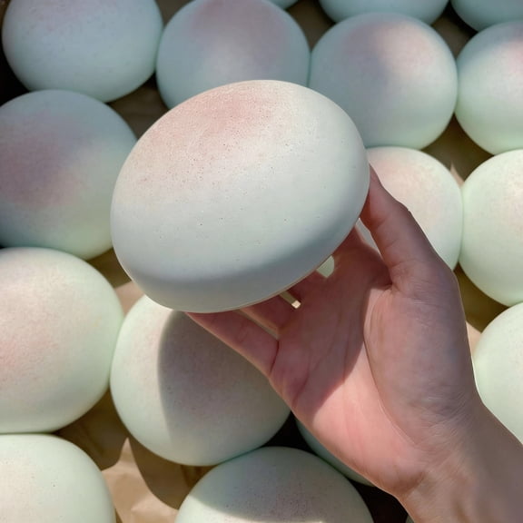 2026 New Dumpling Squishies Large,Super Soft Giant Squishies Dumpling, Mystery Dumpling Squishies,Large Stress Relief Squeeze Dumplings for Everyone Anxiety Relief
