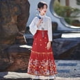 thumbnail image 3 of Jupe Visage de Cheval pour Filles Style Traditionnel Chinois Robe Hanfu Été Style Tang Jupe FJH, 3 of 7