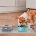 thumbnail image 4 of 1 cuenco práctico para comida de perro, bebederos, cuenco duradero de acero inoxidable para mascotas, cuenco de alimentación para cachorros de gran capacidad, 4 of 5