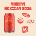 Tepache Mixta Variety Pack Modern Mexican Soda Craft Fermented