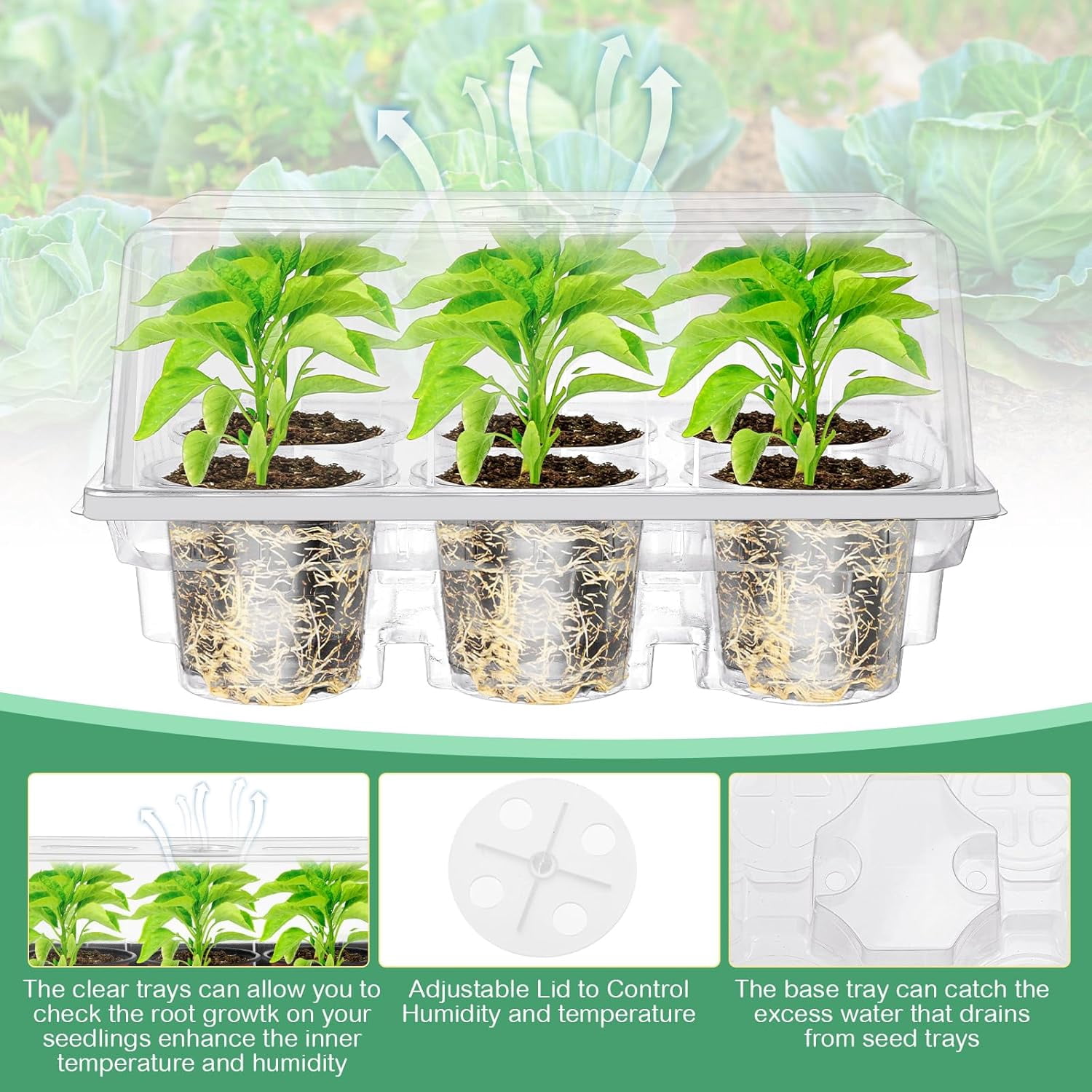 Seed Starter Tray Kit with Nursery Pots and Humidity Dome for Plant Germination