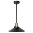 thumbnail image 3 of 12V Retro Matte Black RV Dinette Pendant Light Fixture with LED Edison Bulb, 3 of 5