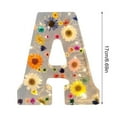 Walmart Week Sales Dried Flower Letters Night Light Floral Resin