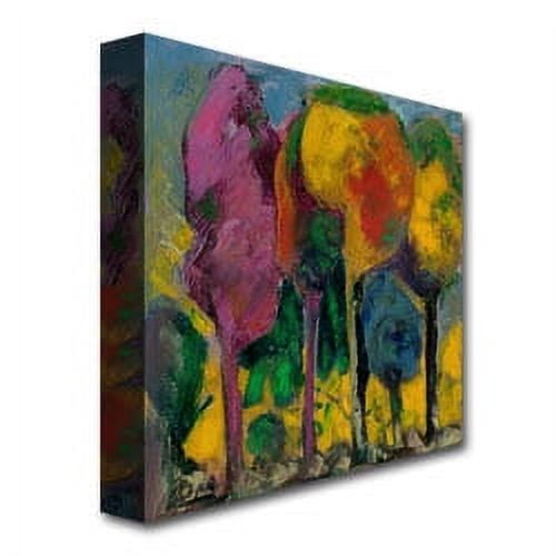Trademark Fine Art "Puesta de sol" Canvas Art by Boyer