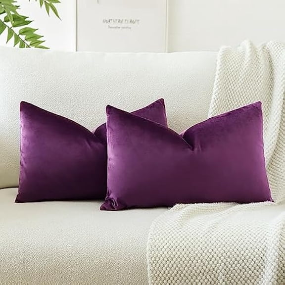Eryueer Set of 2 Velvet Soft Solid Cushion Covers 30x50 cm Decorative Throw Pillow Covers Soft Lumbar Cushion Case Couch Home Decor Throw Pillow Cases for Sofa Bedroom 12x20 Inch (Eggplant Purple)