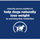 thumbnail image 2 of Hill's Canino Metabolic 0.4 Kg 12 Unid X Caja azul, 2 of 2
