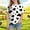 A181 Multicolor, variant on Xdegoge Toddler Kids Girls Summer Tops Short Sleeve Cow Pattern T-Shirts Casual Crew Neck Graphic Tee Fun Animal Print Everyday Wear, Size 4-5T