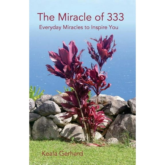 The Miracle of 333 (Paperback)