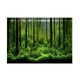 thumbnail image 1 of Póster de fondo de tanque de bosque submarino adhesivo de PVC para decoración (61 x 41 cm), 1 of 14