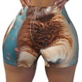thumbnail image 2 of Naloa Floating Cat And Donuts Biker Shorts for Women Seamless Scrunch Short Women’s Yoga Shorts for Gym Running Sport Shorts-X-Large, 2 of 8