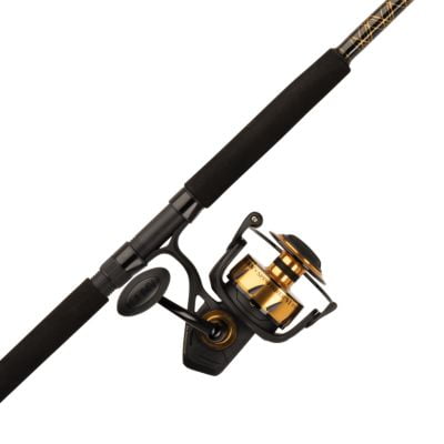 PENN Spinfisher VI Spinning Reel and Fishing Rod (Best Surf Rod And Reel Combo)