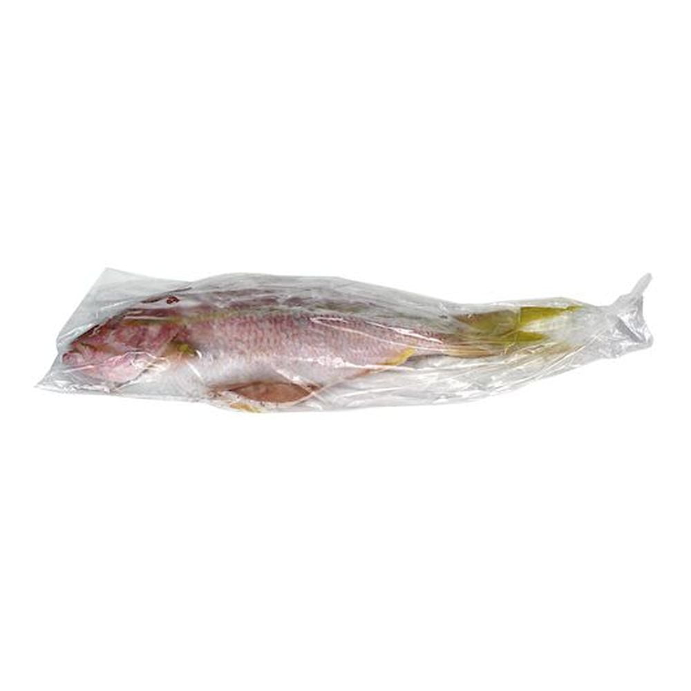 Beaver Street Fisheries Brazilian Red Snapper 22 Pound