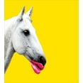 thumbnail image 3 of Ambesonne Modern Duvet Cover Sets, Horse with Pink Woman Lips, 2-King, Yellow Hot Pink Pale Grey, 3 of 6