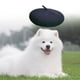 thumbnail image 1 of Sombrero para Perros Fernando de Lana Ajustable Negro, 1 of 8
