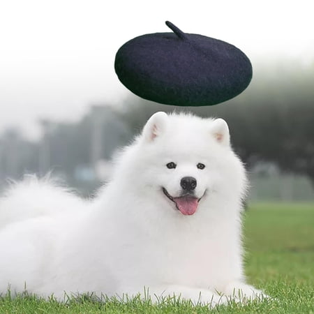 Dog Cat Wool Yard Hat for Dogs Vacation, Birthdays Hair Accessory Warm Black