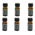 thumbnail image 4 of Ethereal Huile Parfumée 15 ml Jasmin - Ensemble de 6, 4 of 4