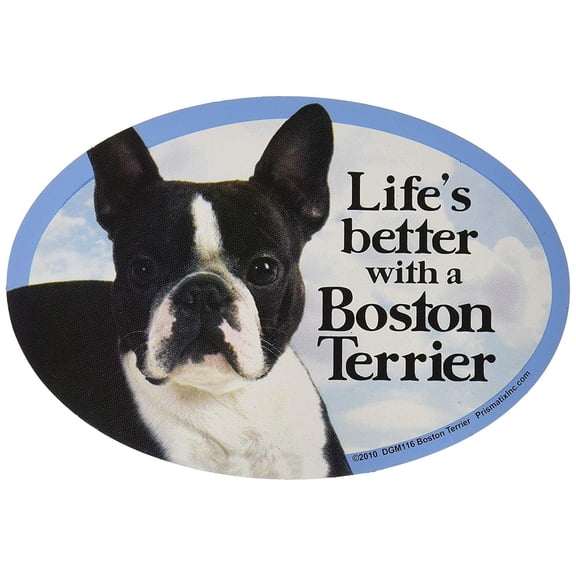 Prismatix Boston Terrier Oval Dog Magnet – 6 x 4 in, Full Color