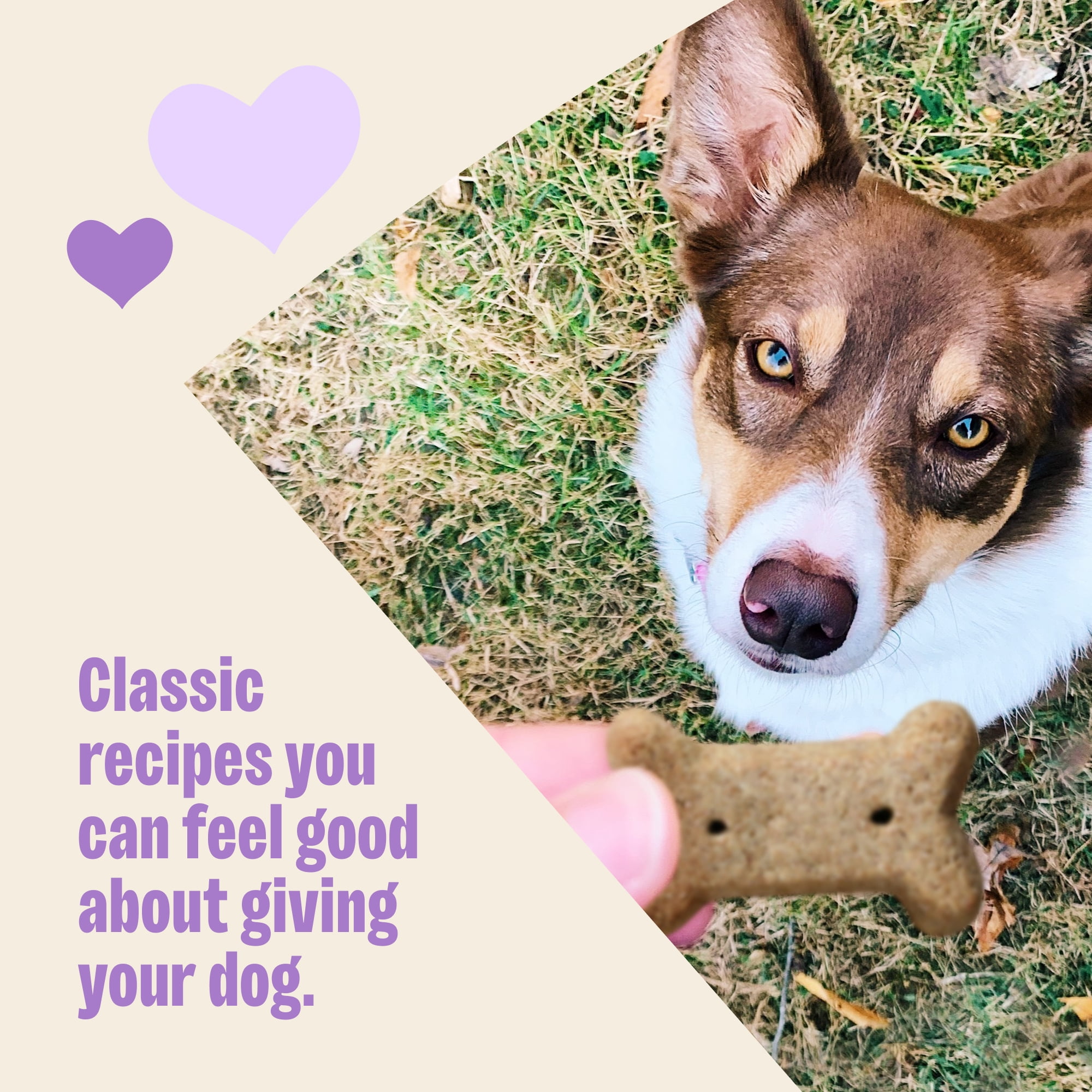 Wellness Old Mother Hubbard Classic Original Mix Dog Biscuits, Natural Training Treats, 4 Flavors, Small Size, 20 lb Box