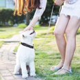 thumbnail image 3 of Dog Chain Leash Steel Heavy Duty Dog Leash Pu Leather Handle, 3 of 4