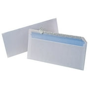 Ampad #10 150 Count Envelope