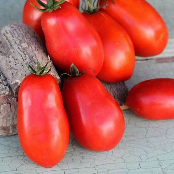 Organic Hungarian Paste Tomato Seeds ~25 Seeds - Organic, Heirloom, Open Pollinated, Non-GMO, Farm & Vegetable Gardening Seeds
