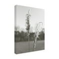 thumbnail image 2 of Jason Johnson 'Ethereal Pampas IV' Canvas Art, 2 of 3