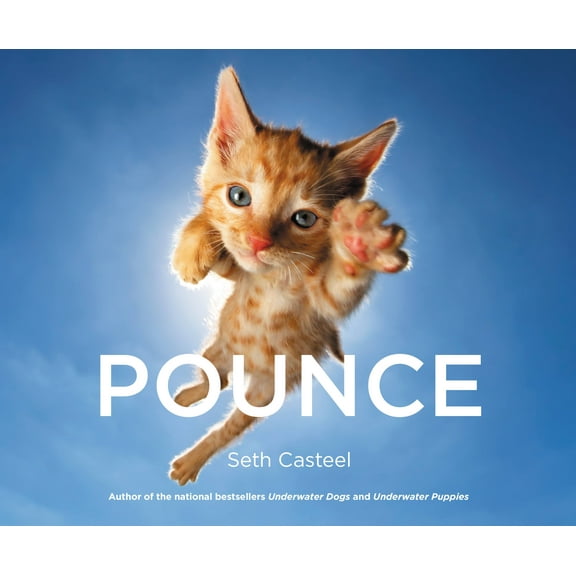 Pounce (Hardcover)