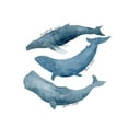 thumbnail image 3 of Price, Lucille 15x18 Black Modern Framed Museum Art Print Titled - Whale Trio, 3 of 5