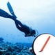 thumbnail image 4 of Naiovety Boya Tubo de señal Buceo Inflar Marcador Superficie Accesorio plegable Señales Suministros inflables Accesorios Deportes acuáticos, 4 of 6