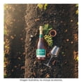 thumbnail image 4 of Vino Rosado World Table Moscato Espumoso Rose 750 ml, 4 of 4