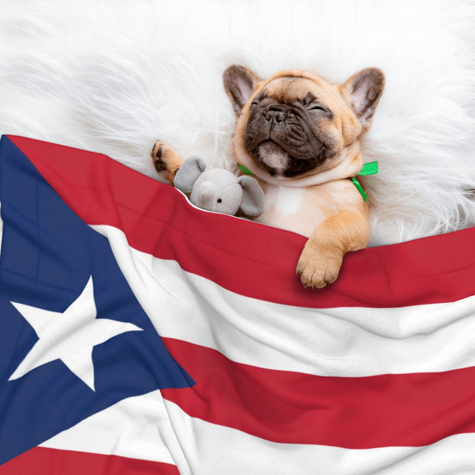 Flannel Throw Dog Blanket Puerto-Rico Flag Soft Warm Print Pet Blankets for Small Dog Cat Puppy
