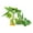FZY09, variant on Reptiles Plant Grass for Climbing Habitat Decors Branch with Leaves for Lizards Spiders Snake Hideouts