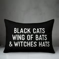 thumbnail image 2 of Creative Products Black Cats Wing of Bats & Witches Hats 14x20 Indoor / Outdoor Pillow, 2 of 2