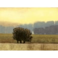 thumbnail image 2 of Wyatt Jr., Norman 14x12 Black Ornate Wood Framed with Double Matting Museum Art Print Titled - Villa Park I, 2 of 4