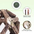 thumbnail image 3 of Catnip toys kitten teeth cleaning tools cat chew toys, 3 of 5