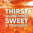 thumbnail image 2 of Kroger Big K Orange Caffeine Free Soda Bottle 2 liter - Pack of 1, 2 of 4