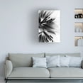 thumbnail image 2 of Andre Koenig 'Lily' Canvas Art, 2 of 4