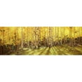 thumbnail image 3 of Kim, Gary 24x11 Black Modern Framed Museum Art Print Titled - Aspen Panorama, 3 of 5