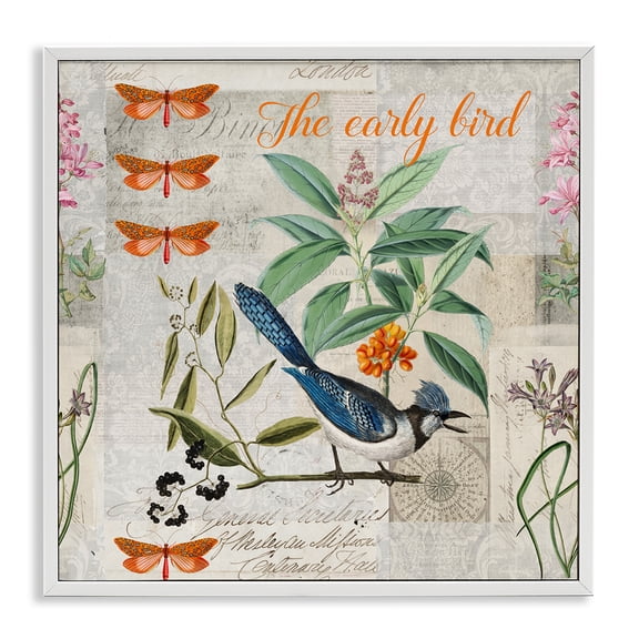 Stupell Industries Cottage Early Bird Vintage Nature White Framed Giclee Art, 12 x 12, by Andrea Haase