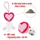 thumbnail image 5 of Juego de 5 juguetes para gatos Lepawit para el día de San Valentín con hierba gatera y campanas, 5 of 7