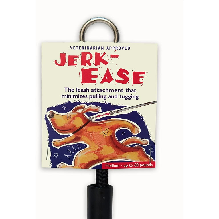 Jerk ease bungee dog leash deals