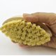 thumbnail image 3 of Zoie + Chloe Cepillo Vegetal De Cerdas Suaves 100% De Fibra Vegetal Natural, 3 of 5