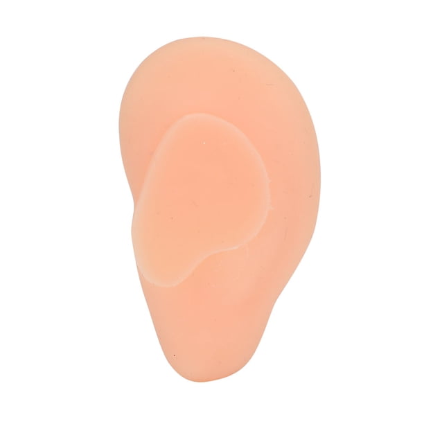Modelo de oreja, modelo de oreja izquierda de silicona suave profesional Muestra de pantalla de oreja falsa para herramienta de ense?anza práctica de estudio(Oreja derecha) Saludable Fugacal NO