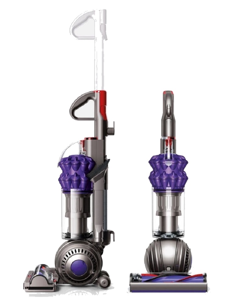 Dyson Animal 2 Making Loud Noise