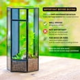 thumbnail image 4 of NCYP Small Metal Hexagon Shaped Enclosure Terrarium with Mesh, 4.9x4.3x9.4in, Home Indoor Tabletop Mini Insect Habitat, Terrarium Only, 4 of 13