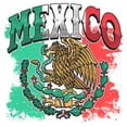 thumbnail image 2 of Juniors Lost Gods Mexico Soccer T Shirt, 2 of 2